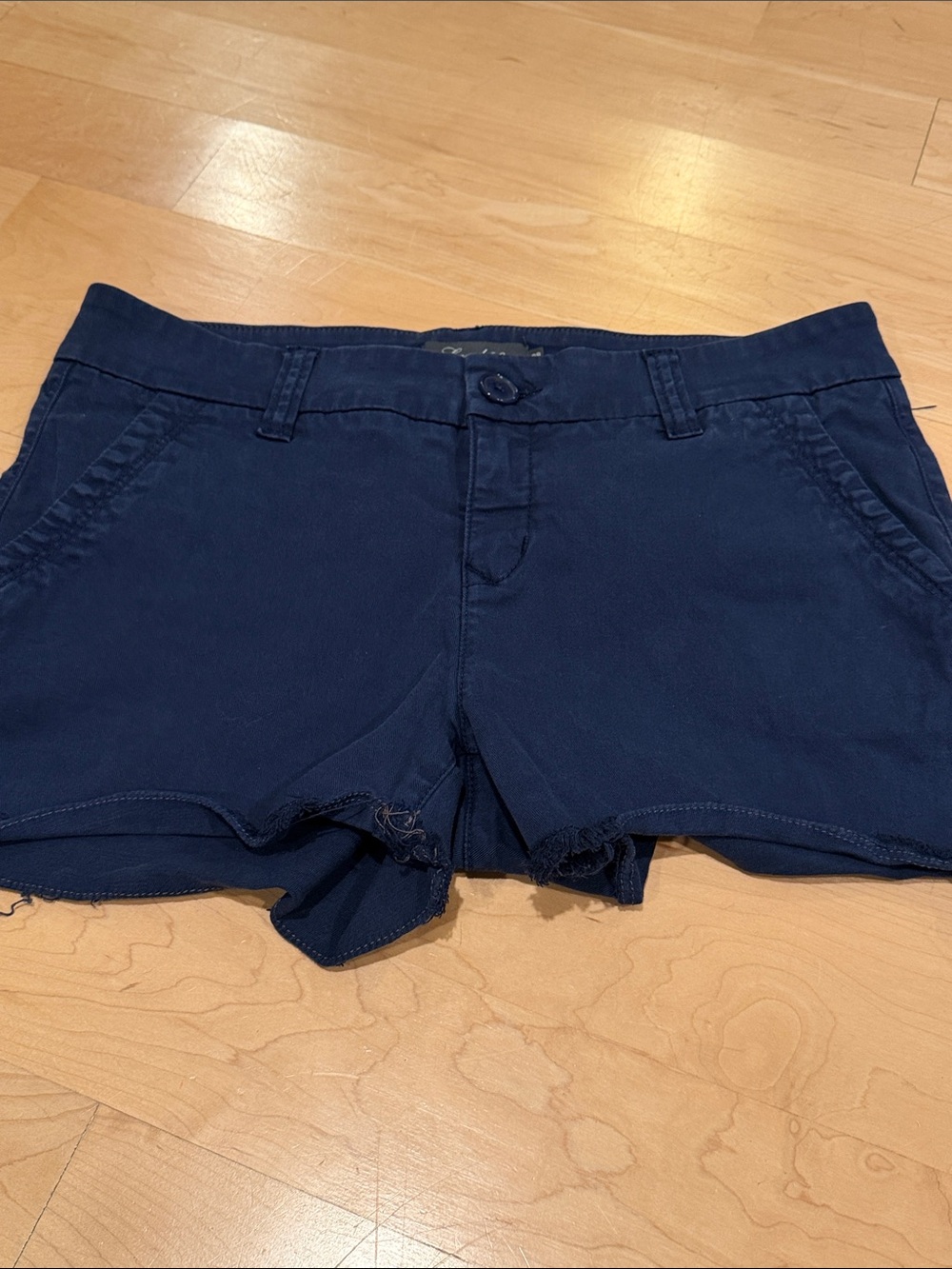 Anthropology Level 99 Blue Shorts
